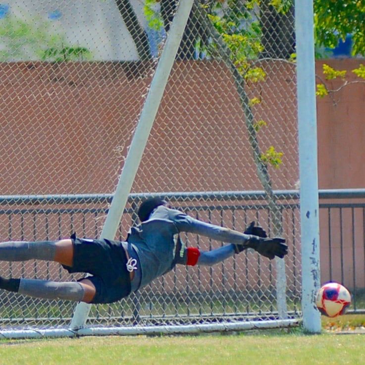 WhatsApp Image 2022-10-31 at 15.41.32.jpeg